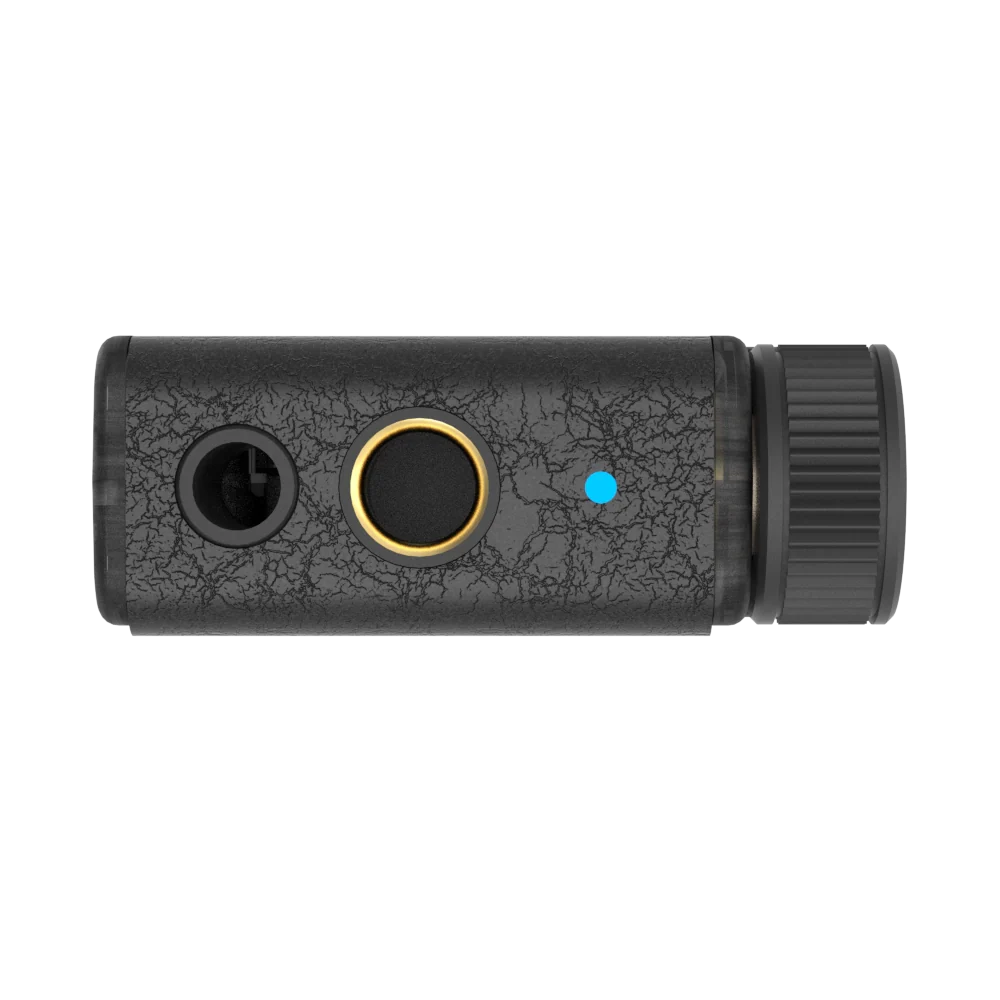 iFi Audio GO blu Air - Portable Wireless Balanced Headphone Amplifier & USB DAC