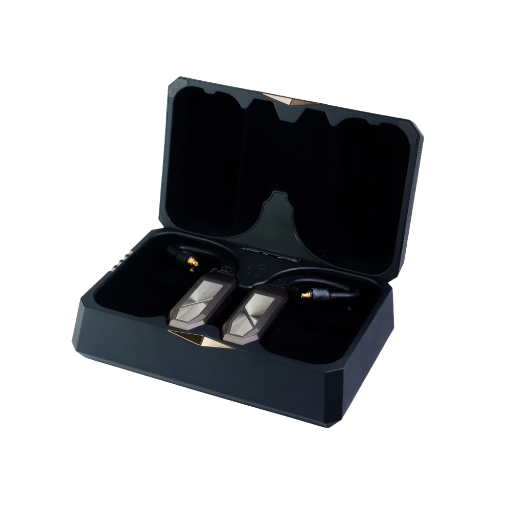 iFi Audio GO pod Max - Wearable True Wireless IEM Bluetooth Adapter with DAC & Headphone Amp