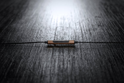 SoundMAGIC E50C - In Ear Isolating Earphones with Mic