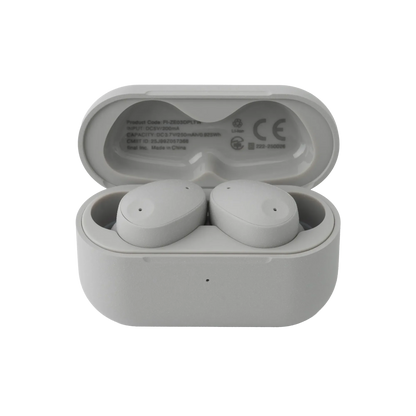 Final ZE300 - True Wireless Active Noise Cancelling Earphones