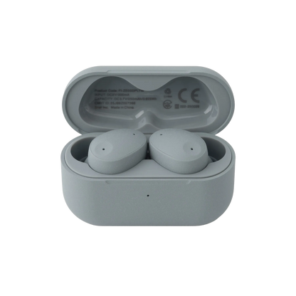 Final ZE300 - True Wireless Active Noise Cancelling Earphones