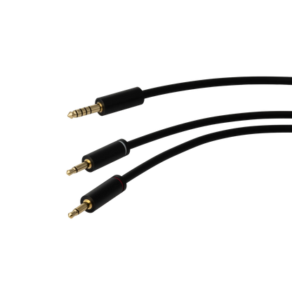 Final DX3000CL - Dynamic Closed Back Headphones with Detachable Cable