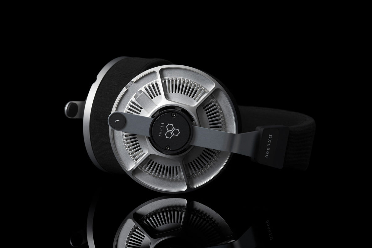 Final DX6000 - Dynamic Open Back Headphones with Detachable Cable