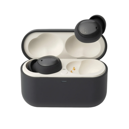 Final ZE500 - True Wireless In Ear Isolating ASMR Earphones