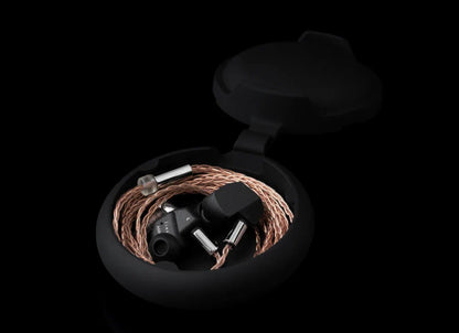 Final A6000 - Single Driver Universal IEM Earphones With Detachable Cable