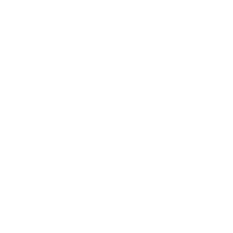 iFi Audio_logo