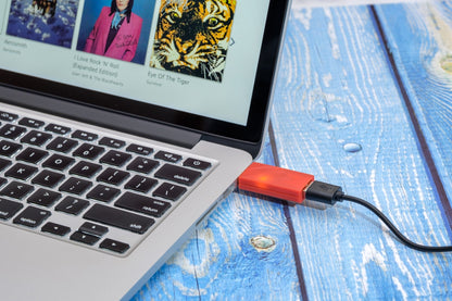 iFi Audio iDefender+ USB Ground Loop Filter