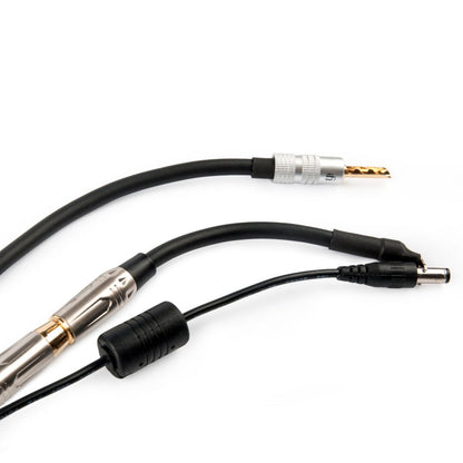 iFi Audio Groundhog+ - Ground Loop Isolator Kit for Audio Systems