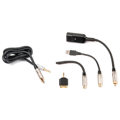 iFi Audio Groundhog+ - Ground Loop Isolator Kit for Audio Systems