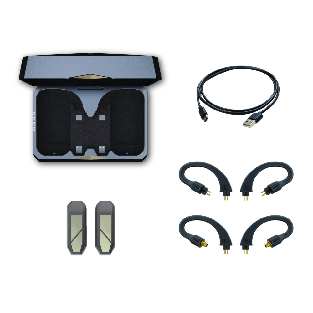 iFi Audio GO pod Max - Wearable True Wireless IEM Bluetooth Adapter with DAC & Headphone Amp