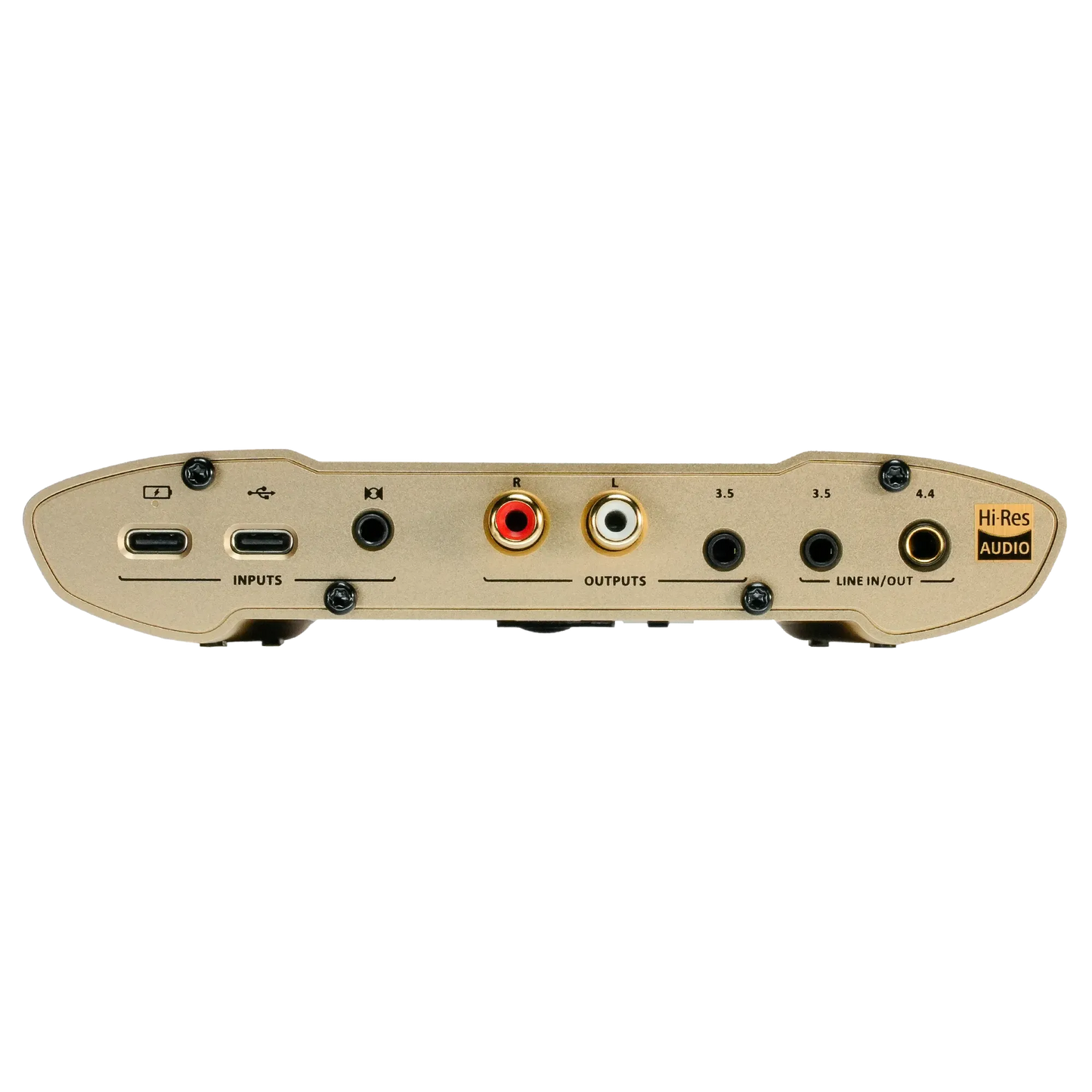 iFi Audio iDSD Valkyrie - Portable Mastering-Grade Headphone Amplifier & USB DAC