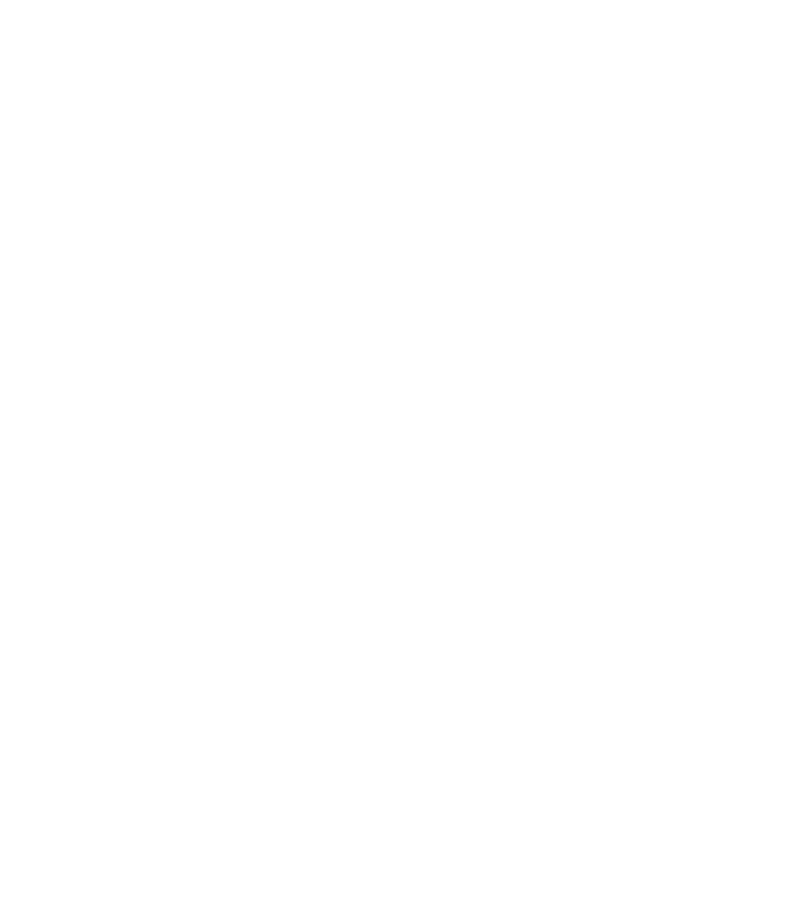 iFi Audio Logo