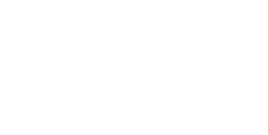 The Sound Organisation Logo