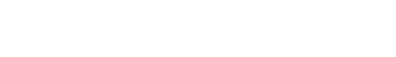 Noble Audio Logo